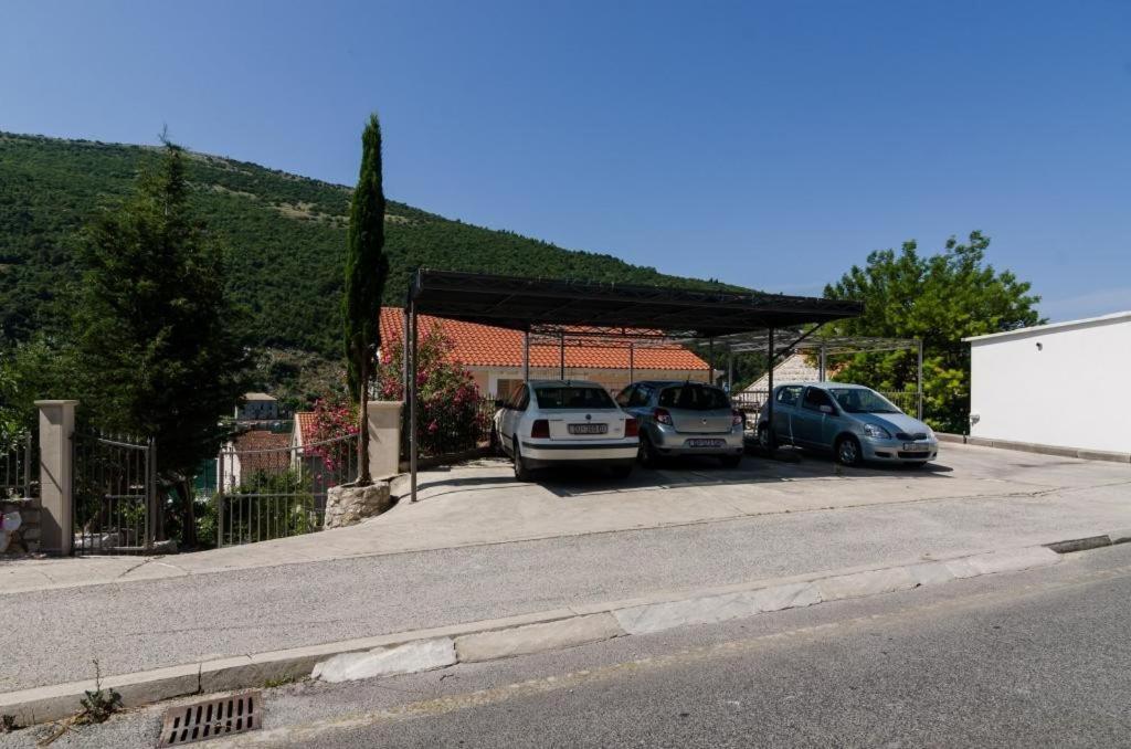 Marela * Mokošica